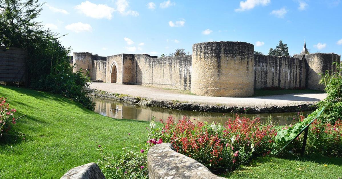 La Grenouillere * Brie-Comte-Robert